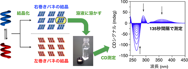 結晶化におけるキラル対称性の破れ（左）と円偏光二色性（CD）スペクトル（右）の図