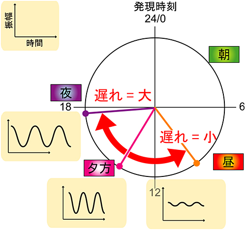 Cry1遺伝子発現の遅れの大きさの重要性の図