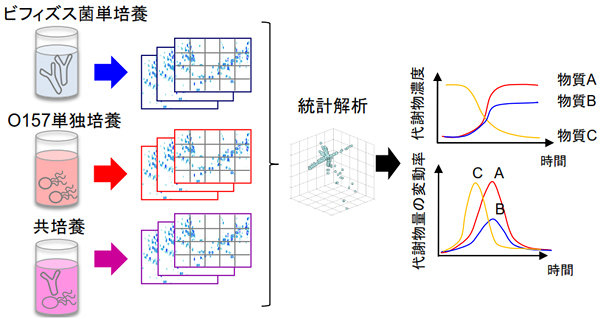 １次代謝レベルでの細菌間相互作用解析を可能とした研究手法の図