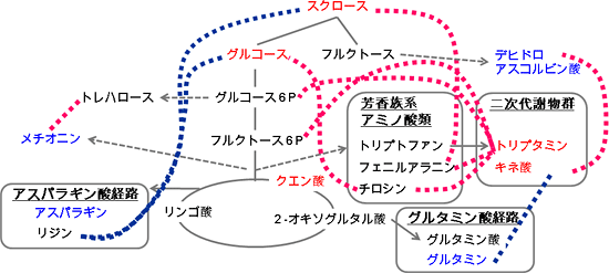 GS1;1遺伝子が破壊されることで引き起こされる根での代謝ネットワーク変化の図