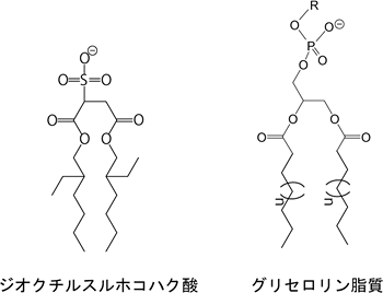 ジオクチルスルホコハク酸と生体膜の主要な構成成分であるグリセロリン脂質の化学構造の図