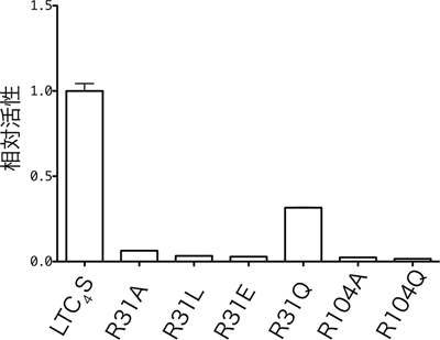 LTC4Sと変異体LTC4Sの酵素活性の比較の図