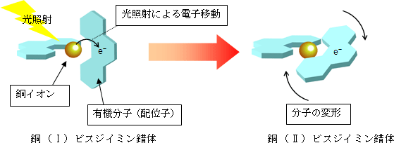 光誘起構造変形の図