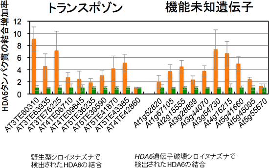 HDA6の直接的な結合活性の同定の図