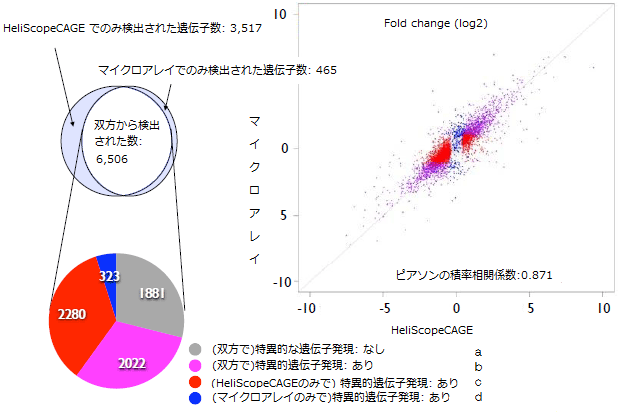 HeliScopeCAGE法とマイクロアレイにおける特異的遺伝子発現の比較の図