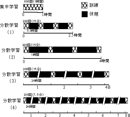 眼球運動学習プロトコールの図