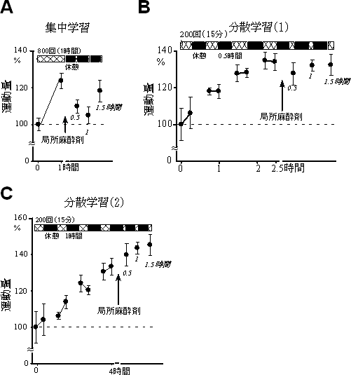 集中学習と分散学習で作られる運動記憶の部位の同定の図