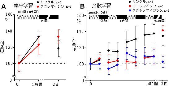 小脳皮質のタンパク質合成と分散効果の図