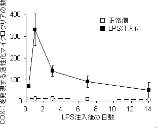 LPS注入後のCOX-1を発現する活性化マイクログリア細胞数の経時変化の図