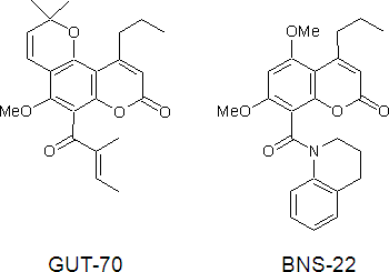 GUT-70とBNS-22の化学構造の図
