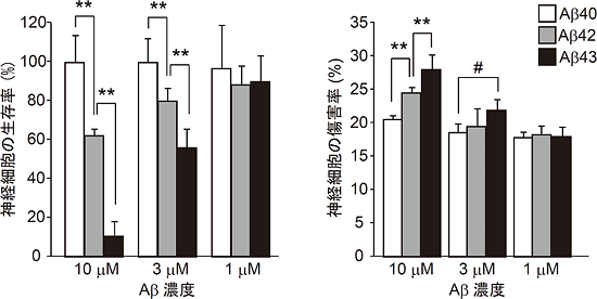 神経細胞に対するAβ43毒性の比較の図