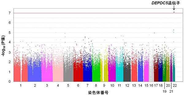 C型慢性肝炎に起因する肝がんのゲノムワイド関連解析結果の図