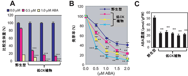 低CK植物のABA感受性及びABA量の図