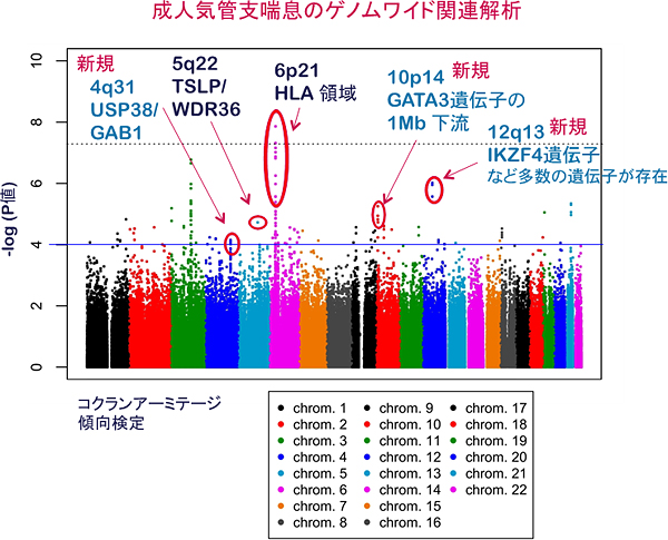 成人気管支喘息（患者1,532人、非患者3,304人）のゲノムワイド関連解析の結果の図