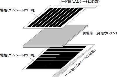 C型SRセンサの構成（概念図）の画像