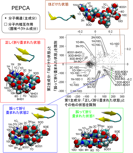 シニョリンの水中でのシミュレーション：PEPCAによる解析の図