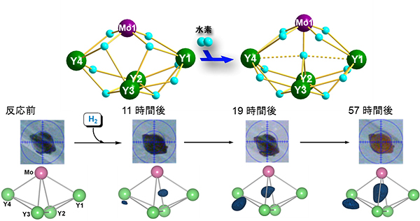 結晶状態を保持したまま水素と反応する様子の図