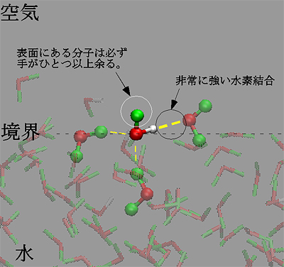 分子動力学シミュレーションから得られたある瞬間の水表面の分子構造の図