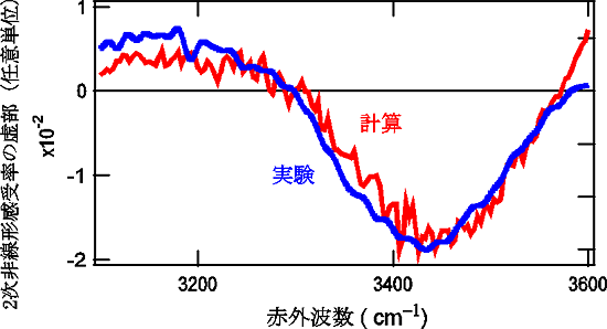 実験(青)および理論計算(赤)で得た界面の水の振動スペクトルの図