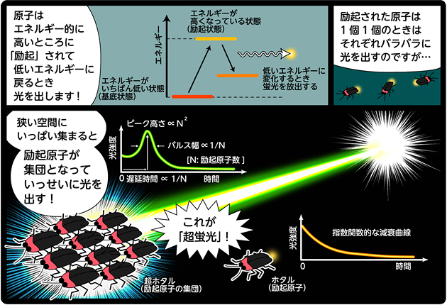 蛍光と超蛍光 理系漫画家　はやのんの図