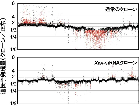 クローン産子における遺伝子発現パターンの図