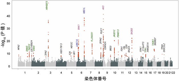 血小板の測定値を対象としたゲノムワイド関連解析結果の図