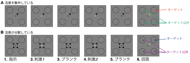 コントラスト識別課題の図