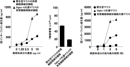 形質細胞様樹状細胞による炎症反応の誘導の図