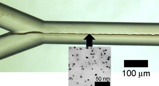 Y字流路内に作成した高分子パラジウムナノ粒子触媒膜の図