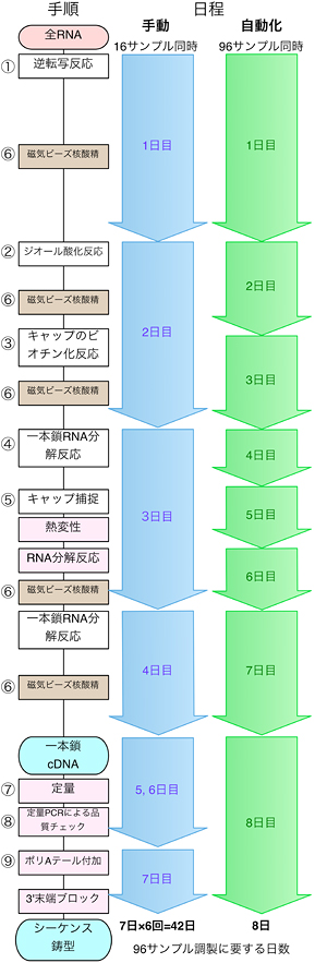 自動と手動のサンプル調製法の手順の比較の図