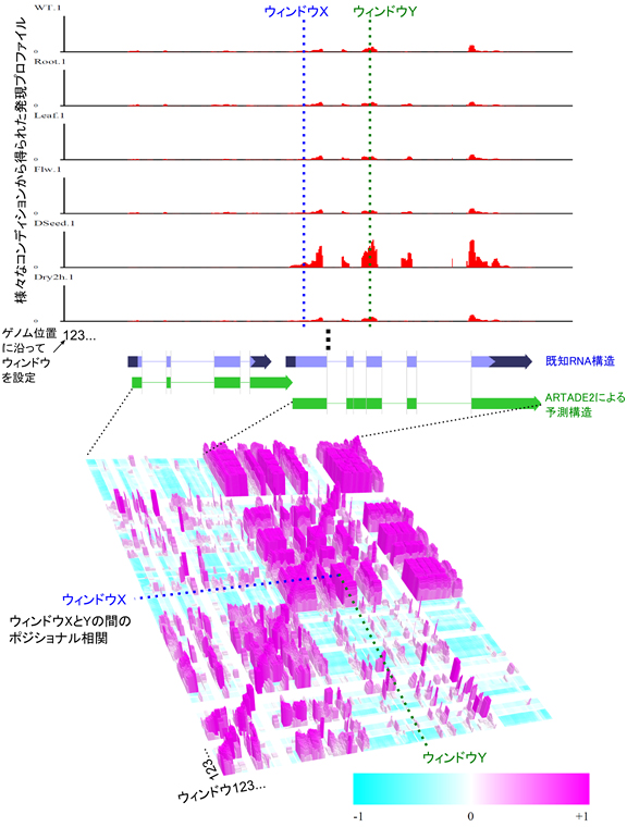 複数個のmRNA-seqデータに対してポジショナル相関解析を適用した結果の図
