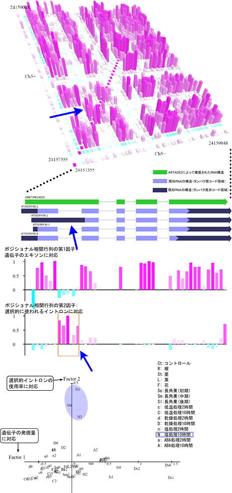 因子分析手法による選択的スプライシング領域の同定と変化の定量化の図