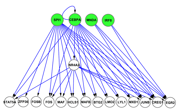 単球特異的分子ネットワークの画像