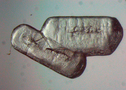 ゲルマノンの結晶の写真の図