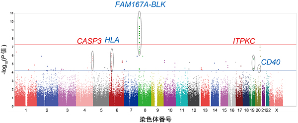 川崎病の発症しやすさに関するゲノムワイド関連解析の結果の図