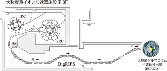 大強度重イオン加速器施設（RIBF）の図