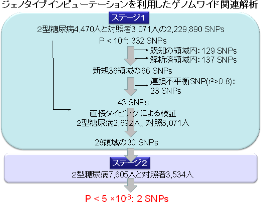 本研究の概要の図