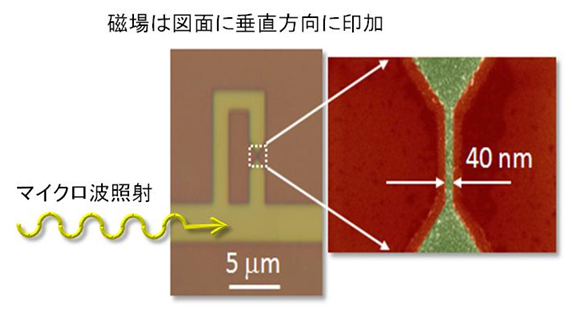 超伝導細線を含んだ超伝導ループの図