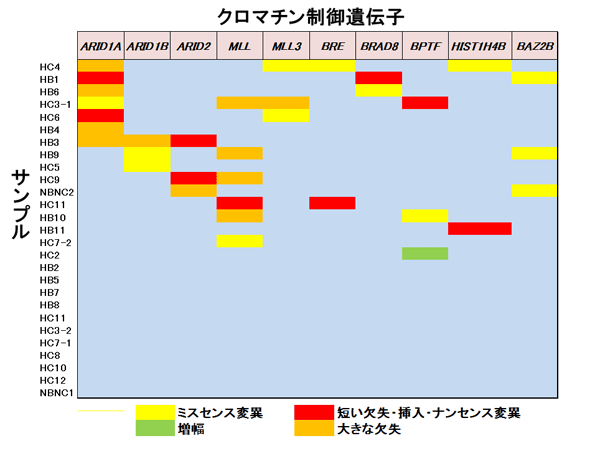 27例の肝臓がんのクロマチン制御遺伝子の変異の有無の図