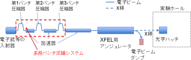 X線自由電子レーザーシステムの模式図の画像