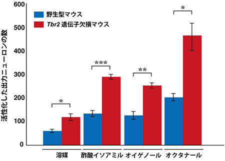 匂いに対する出力ニューロンの過剰な活性化の図