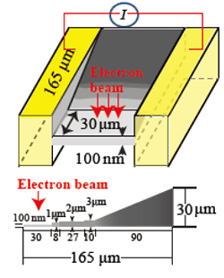 電子顕微鏡観察用のマイクロ素子の模式図の画像