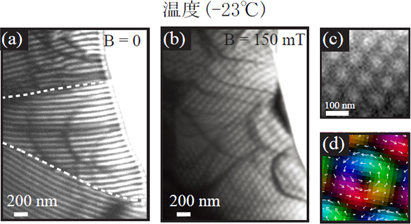 ローレンツ電子顕微鏡によって観察した磁気構造の図