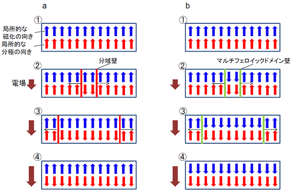 電場による磁化反転の模式図の画像