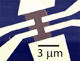 磁性トポロジカル絶縁体単結晶薄片を用いた電界効果トランジスタの光学顕微鏡写真の画像