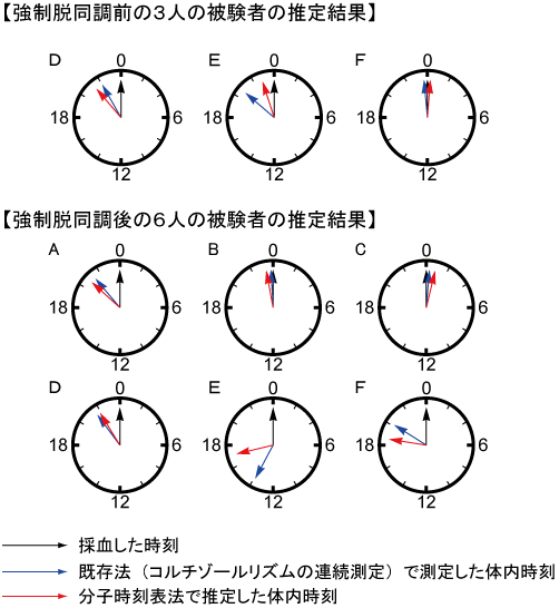 ヒト体内時刻推定の結果の図