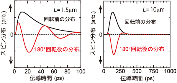 スピン蓄積素子の検出側電極位置におけるスピンの伝導時間の分布の図