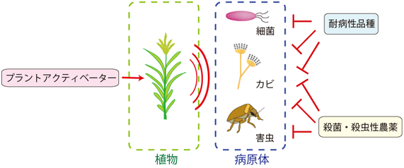 さまざまな植物防除法とその標的の図