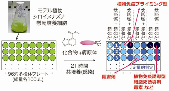 プラントアクティベーターの探索手法の図