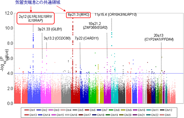 アトピー性皮膚炎に関連する8つのゲノム領域の図